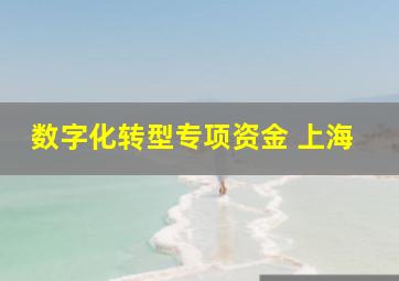 数字化转型专项资金 上海